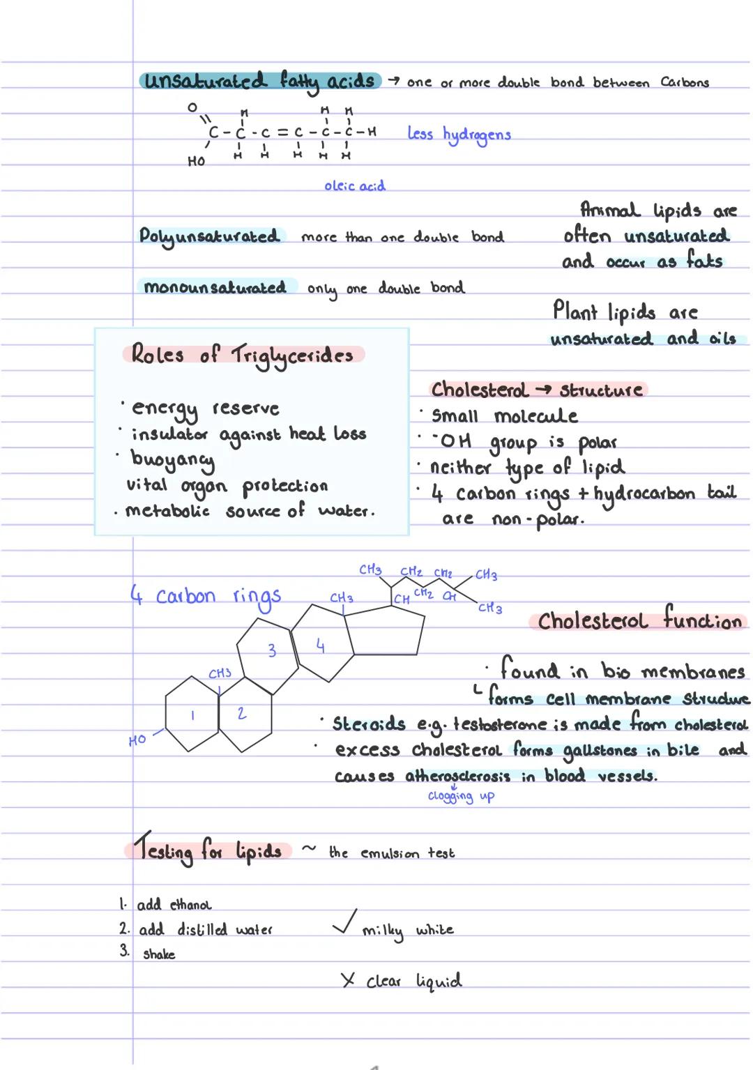 2 groups: triglycerides
Ho
o =c
H
+
H
OH
lipids
glycerol?
group
H
T
Phospholids
fats solid at room temp.
Oils
liquid at room temp
H
I
H-C-
1