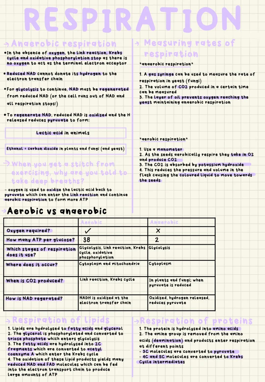 Understanding Aerobic and Anaerobic Respiration and the Role of ATP in Biology
