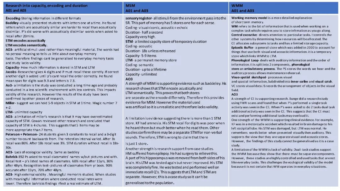 AQA A Level Psychology Memory Revision: Exam Questions and Answers, Flashcards, Quizlet, and Case Studies