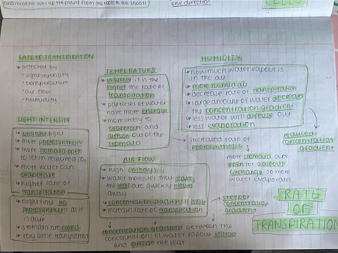 Understanding Transpiration: Factors Affecting Rate