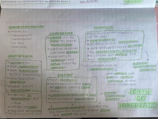 Know Biology Paper 2- Rate of Transpiration thumbnail