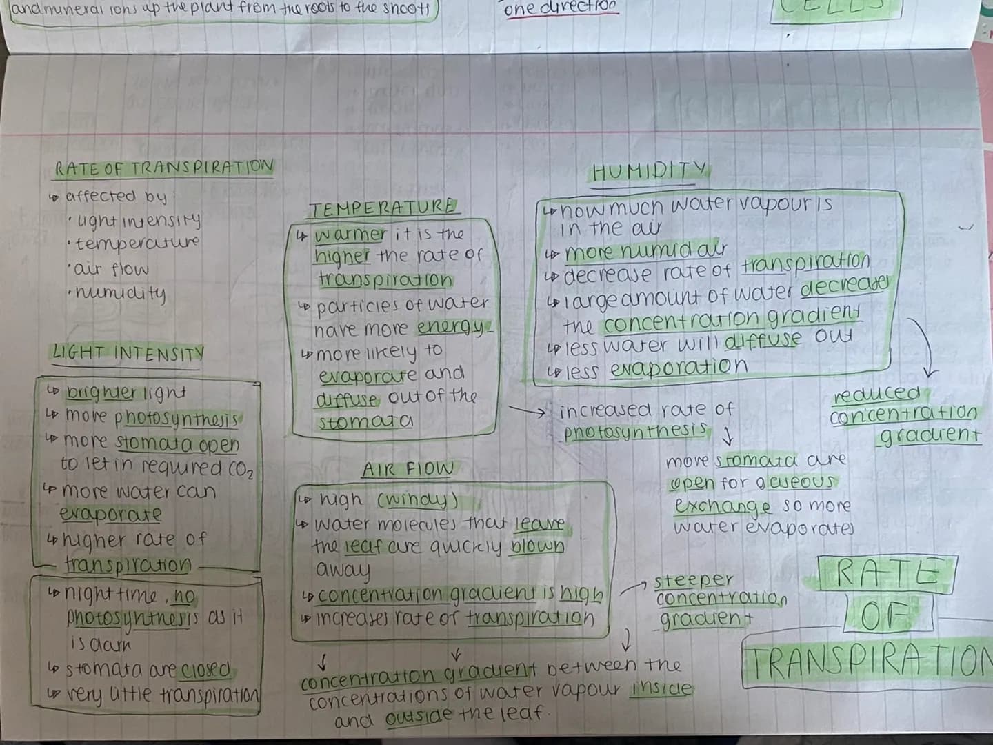 
<h3 id="lightintensity">Light Intensity</h3>
<p>According to the Biology Edexcel specification, the rate of transpiration is affected by li