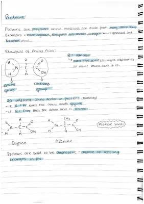 Know As Level Biology Biochemistry - Protiens  thumbnail