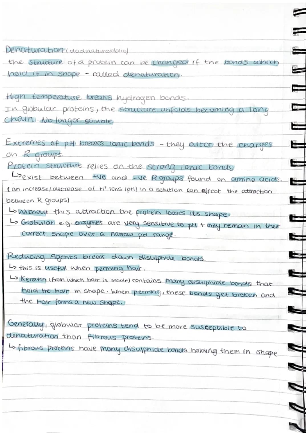Proteins
Proteins are polymers whose molecules are made from many amino acids.
examples = haemoglobin, enzymes, antibodies, collegen (bone+ 