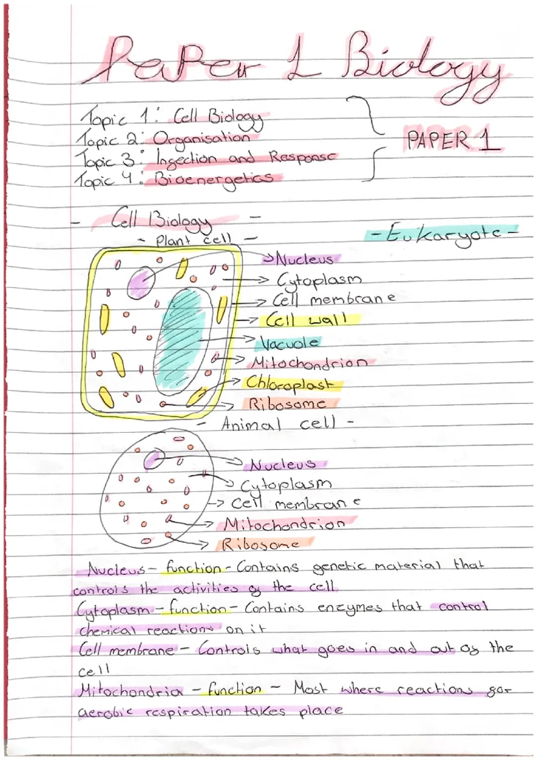 Biology notes foundation- topic 1- paper 1