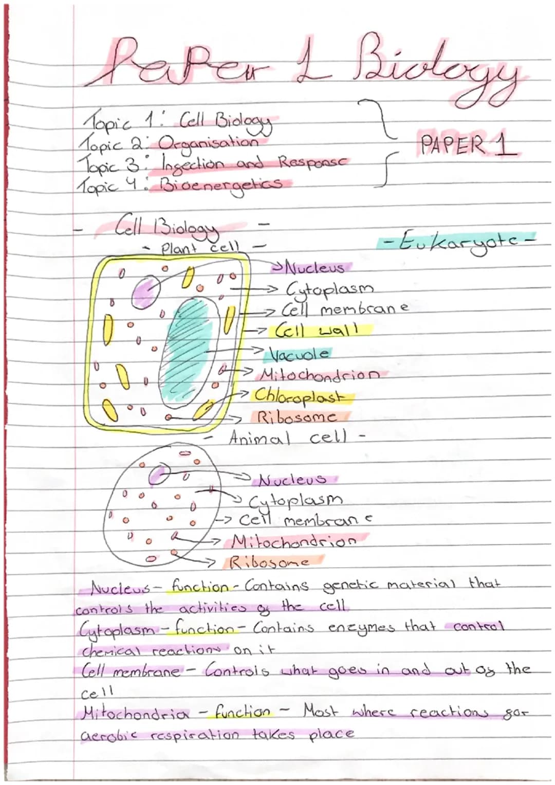 Paper & Biology
L
Topic 1: Cell Biology
Topic 2: Organisation
Topic 3. Ingection and Response
Topic 4: Bioenergetics
Cell Biology
0
Ө
D
0
0
