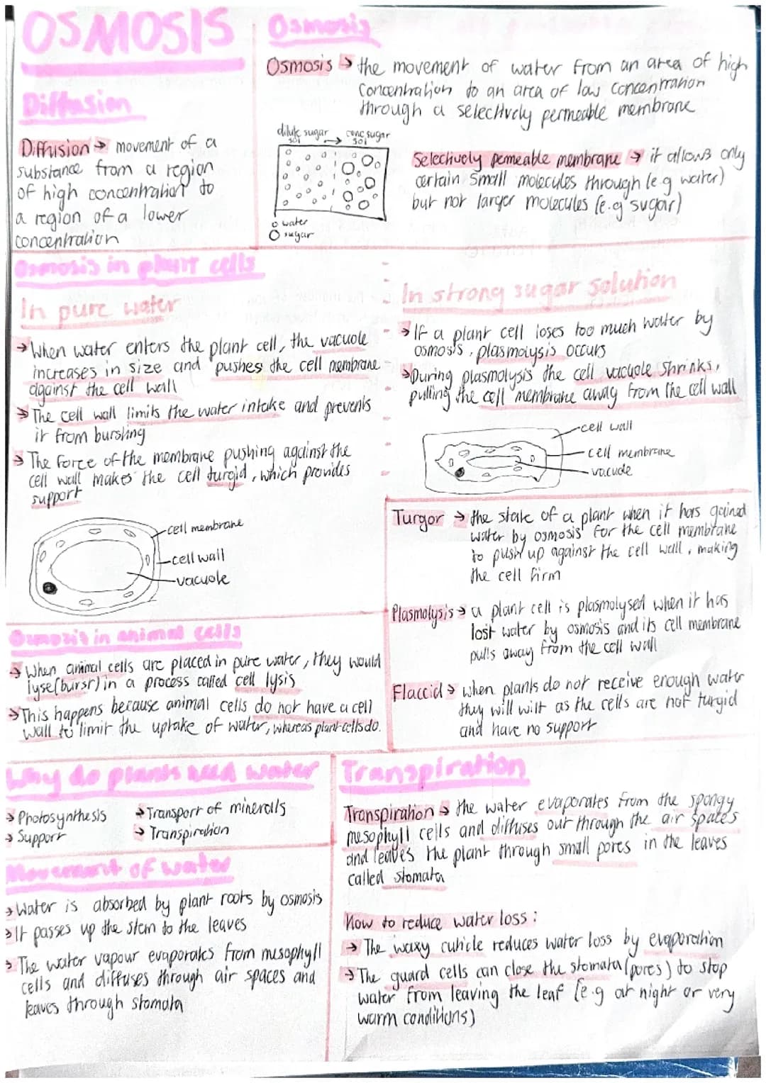 Osmosis and plant transport