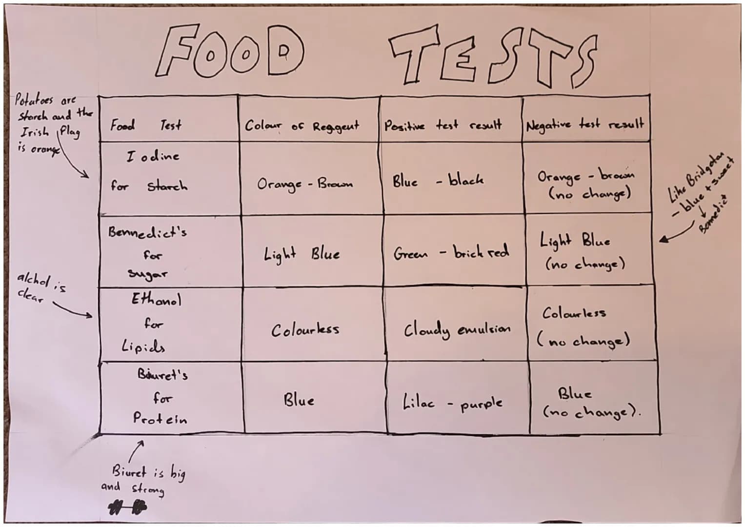 Potatoes are
Starch and the
Irish Plag
is
orange
FOOD
TESTS
Food
Test
Colour of Reagent
Positive test result
Negative test result
Iodine
for