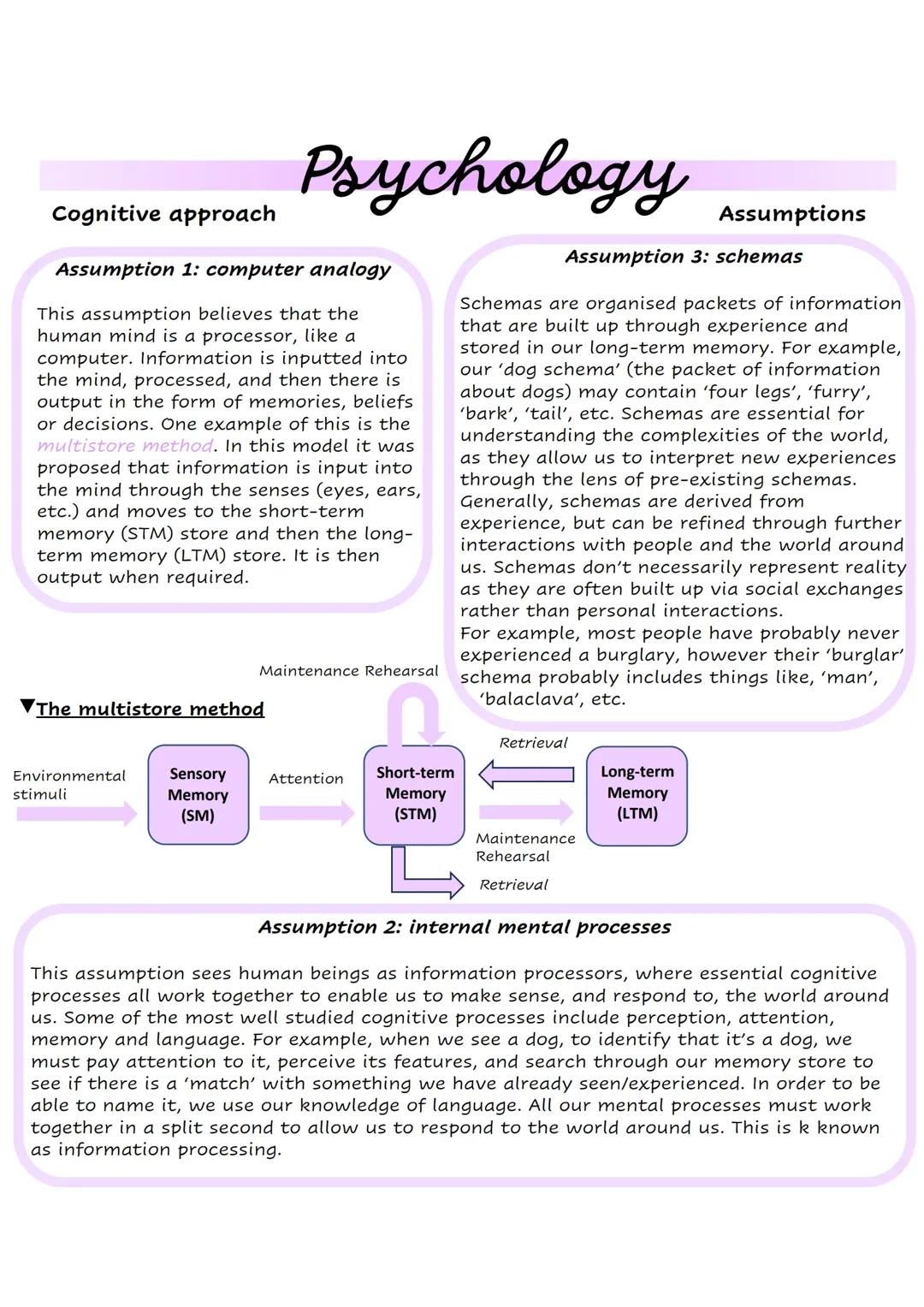 Psychology cognitive approach assumptions