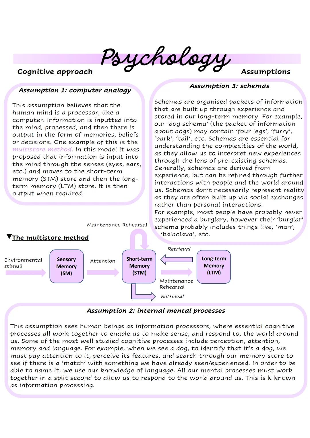 Cognitive approach Psychology
Assumption 1: computer analogy
This assumption believes that the
human mind is a processor, like a
computer. I