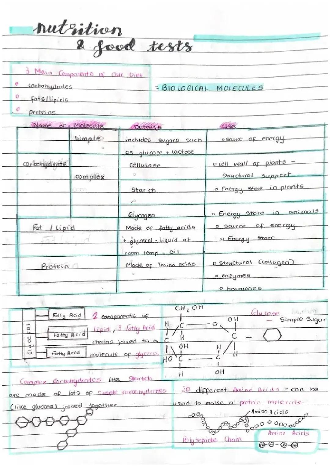 Biology - Nutrition and Food Tests 
