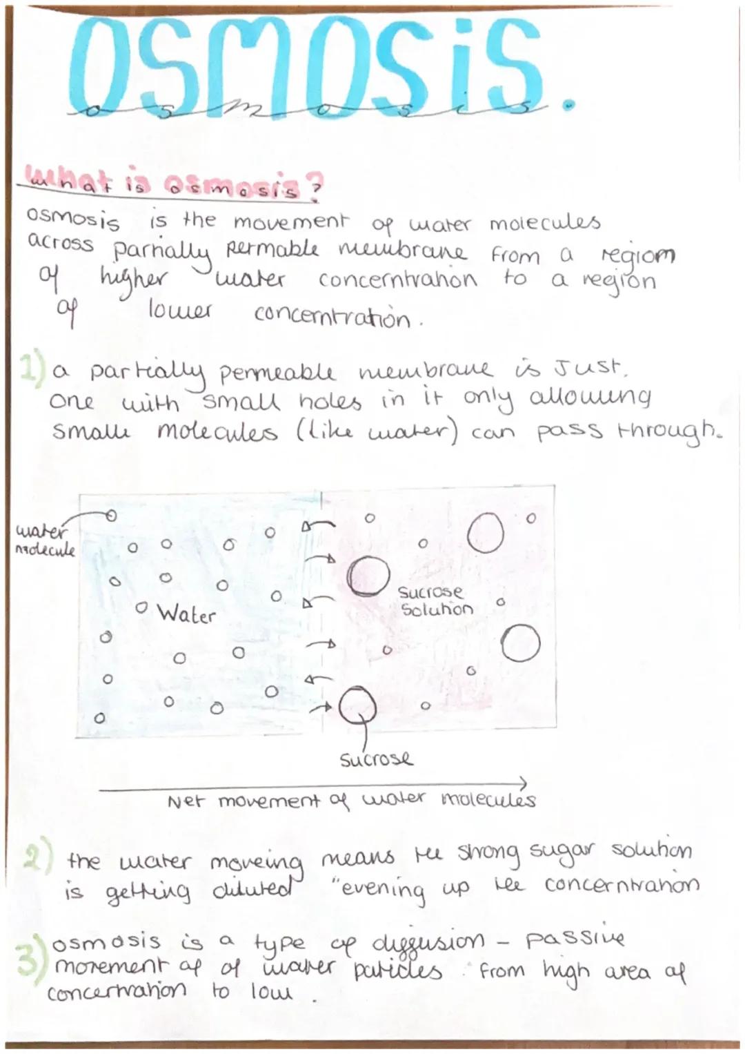 OSMOSIS
What is osmosis
Osmosis is the movement of water molecules
across partially permable membrane from a regiom
concerntrahon to a regio