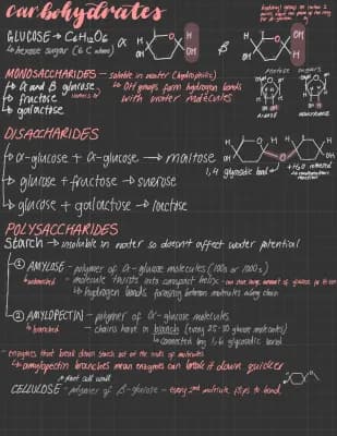 Know Carbohydrates thumbnail