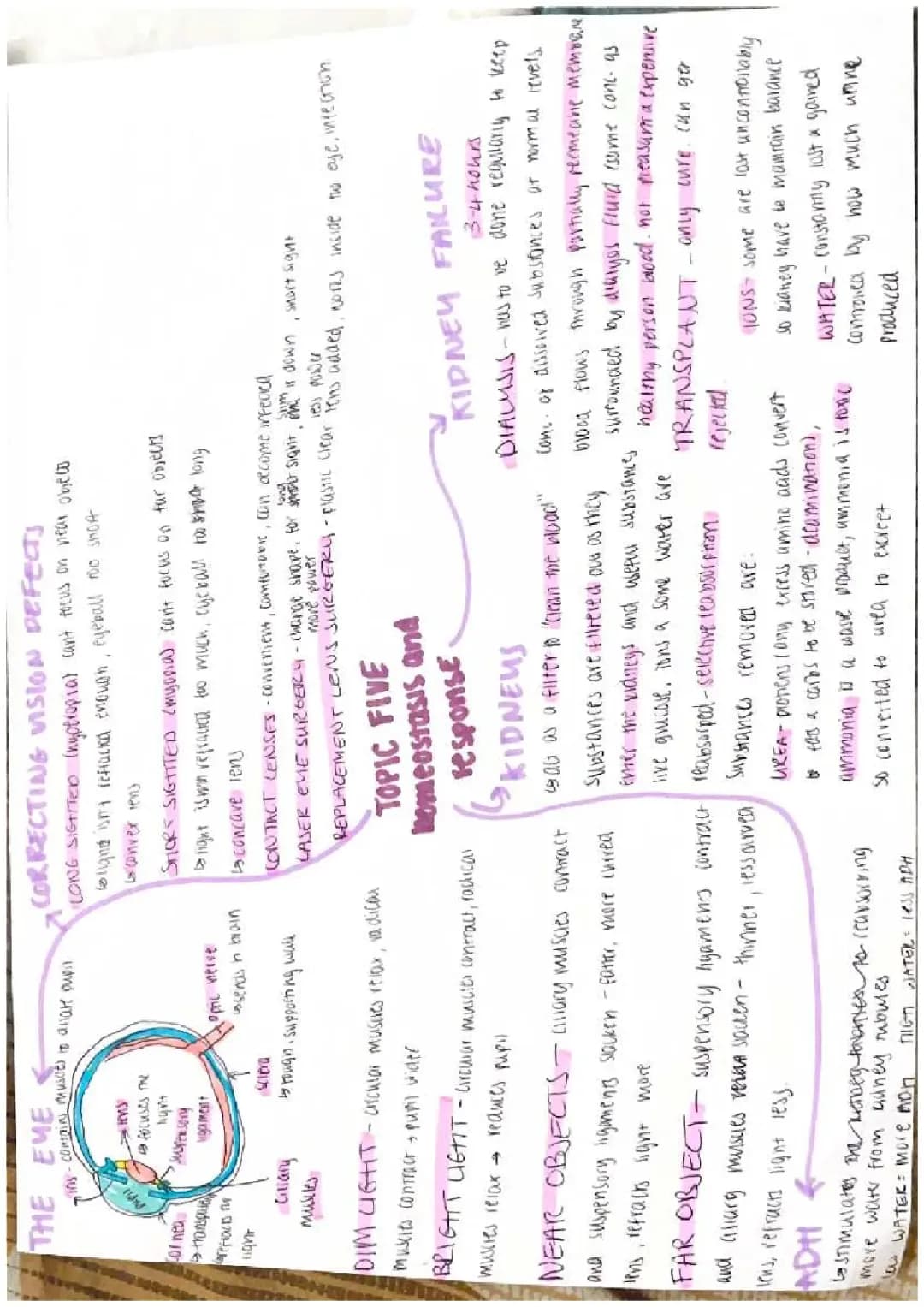 biology mind maps