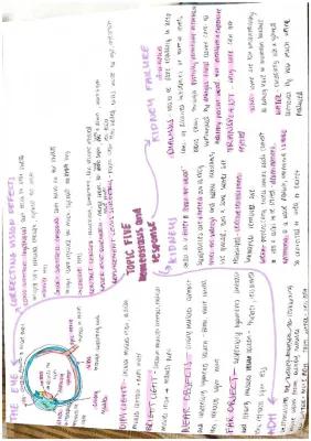 Know biology mind maps thumbnail