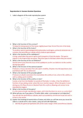 Know Human Reproduction Revision Questions thumbnail