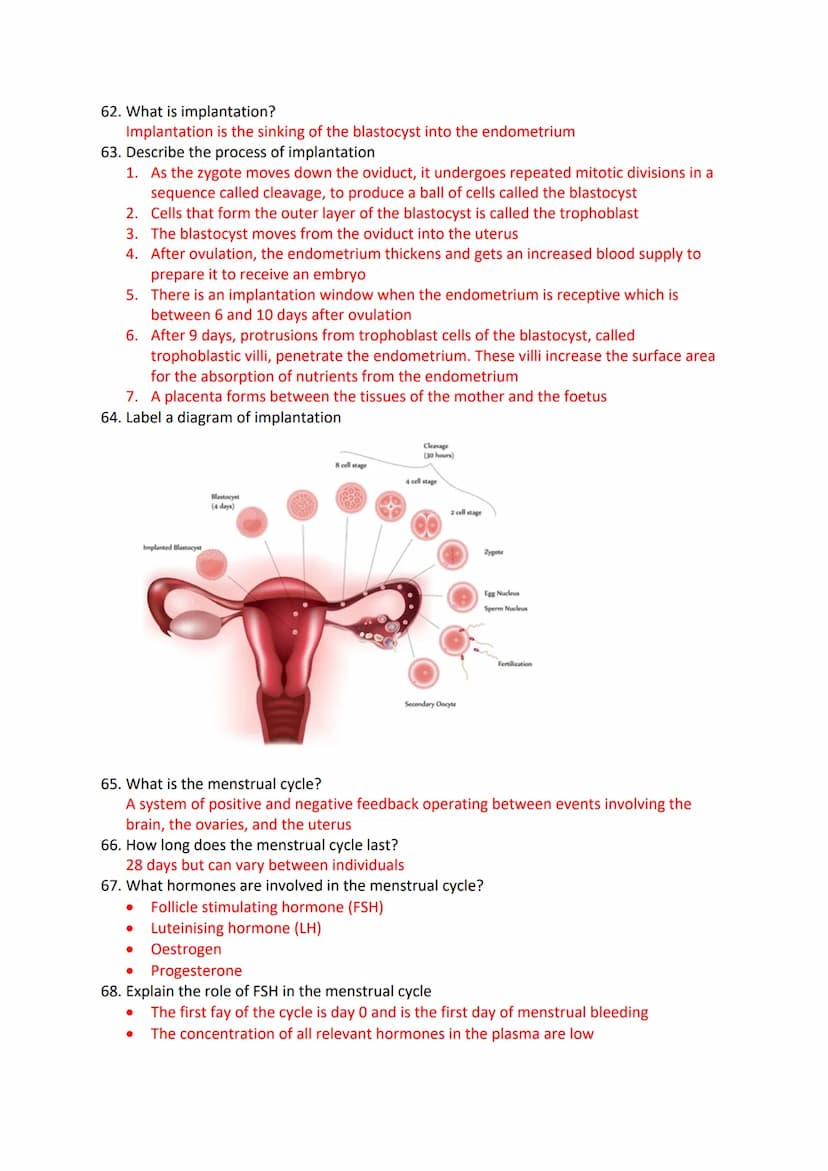 Reproduction in Humans Revision Questions
1. Label a diagram of the male reproductive system
m
Seminal vesicle
vas Deferens
Prostate Gland
U