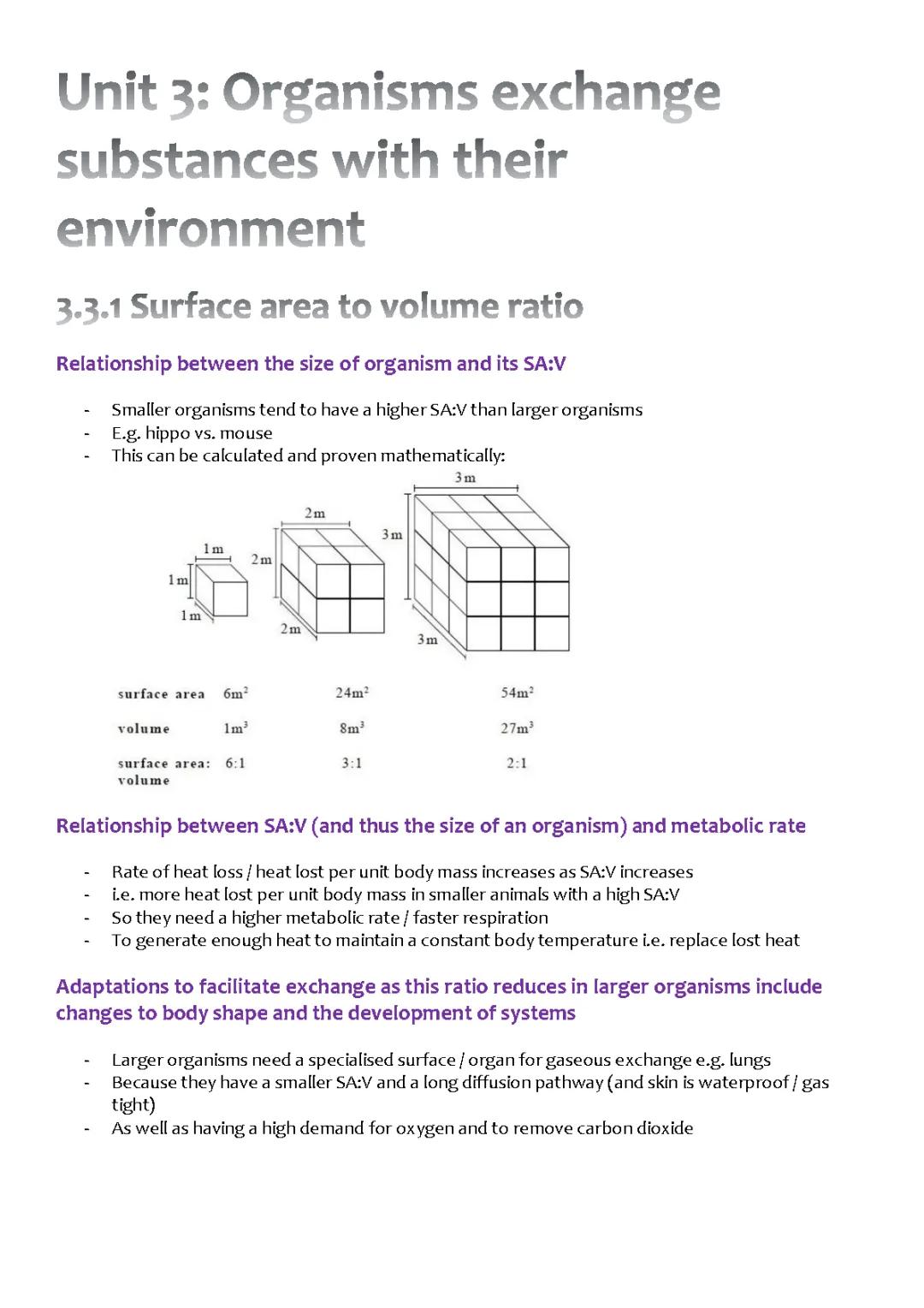 AQA A Level Biology: Understanding Gas Exchange in Organisms