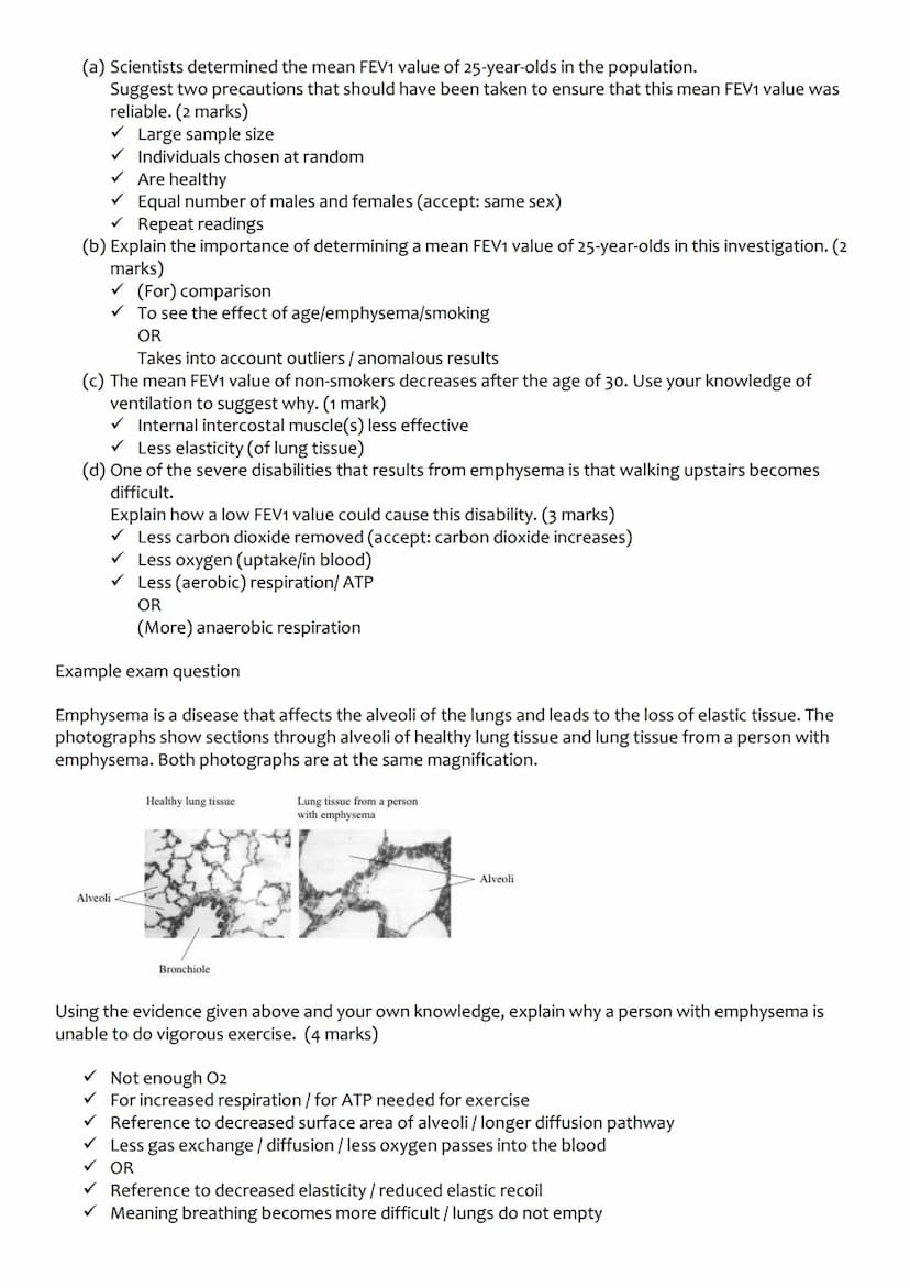 Unit 3: Organisms exchange
substances with their
environment
3.3.1 Surface area to volume ratio
Relationship between the size of organism an