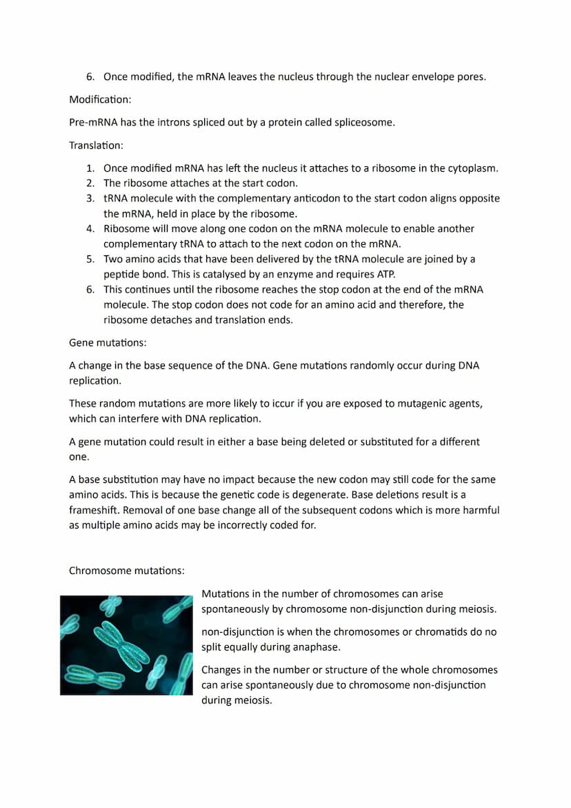 Topic 4
DNA in Eukaryotic and Prokaryotic Cells:
Eukaryotic DNA
Prokaryotic DNA
Made of DNA nucleotides containing deoxyribose, a phosphate 
