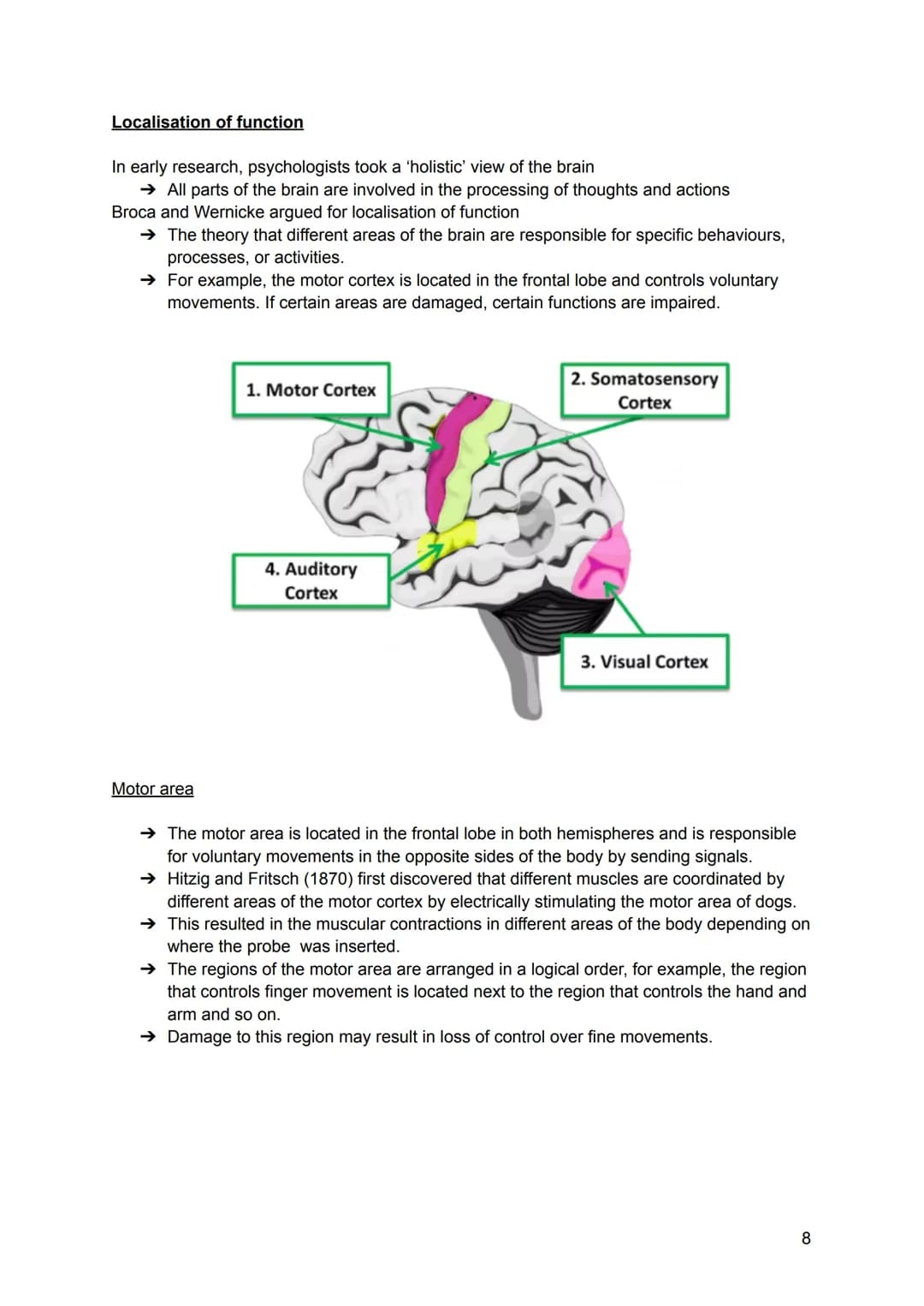 Structure and function of neurons
→ The nervous system is a specialised network of cells in the body and is our primary
internal communicati