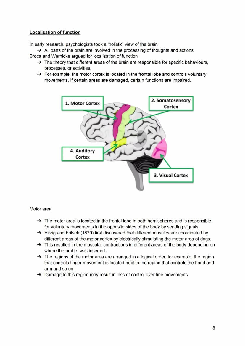 Structure and function of neurons
→ The nervous system is a specialised network of cells in the body and is our primary
internal communicati