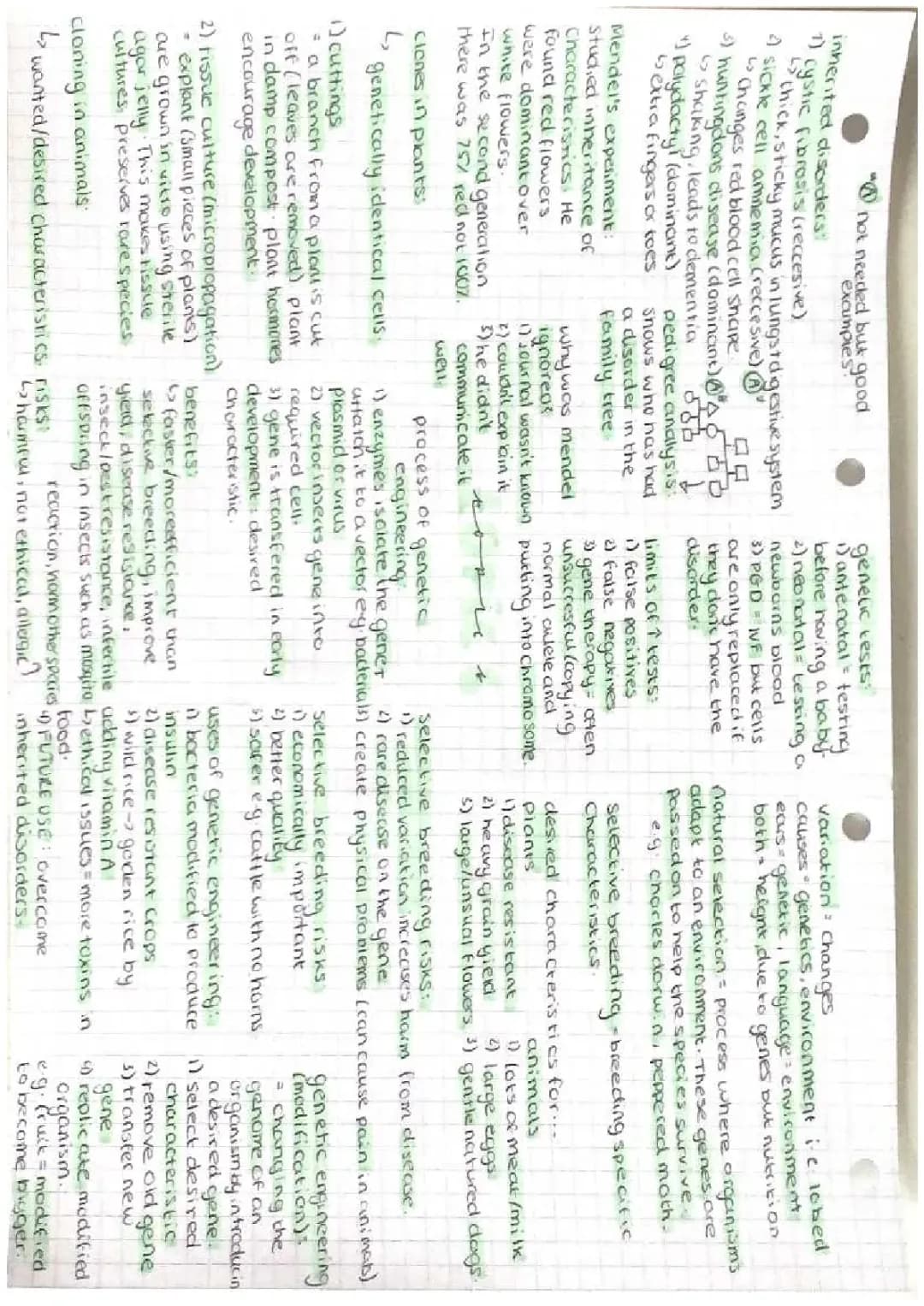 Fun with Inherited Disorders & Genetic Engineering - GCSE Biology Topic 6
