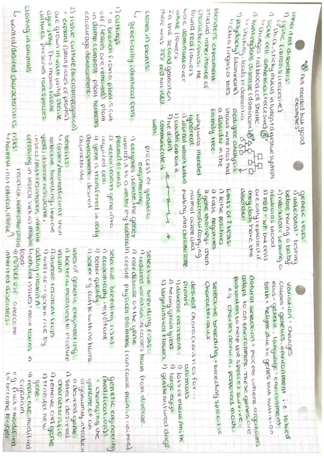 "not needed but good
examples
inherited disorders:
cystic fibrosis (reccesive)
L thick, sticky mucus in lungst digestive system
4) sickle ce