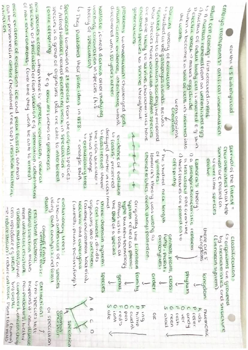 "not needed but good
examples
inherited disorders:
cystic fibrosis (reccesive)
L thick, sticky mucus in lungst digestive system
4) sickle ce