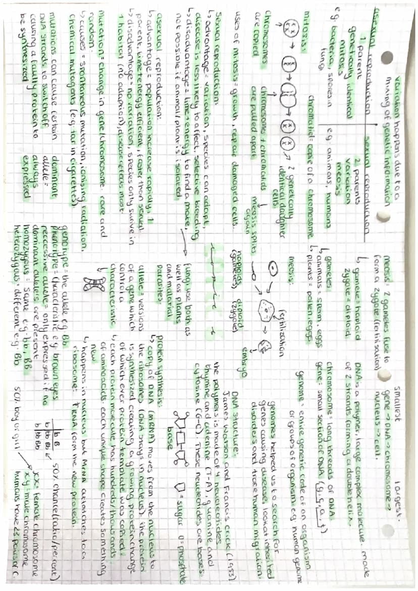 "not needed but good
examples
inherited disorders:
cystic fibrosis (reccesive)
L thick, sticky mucus in lungst digestive system
4) sickle ce