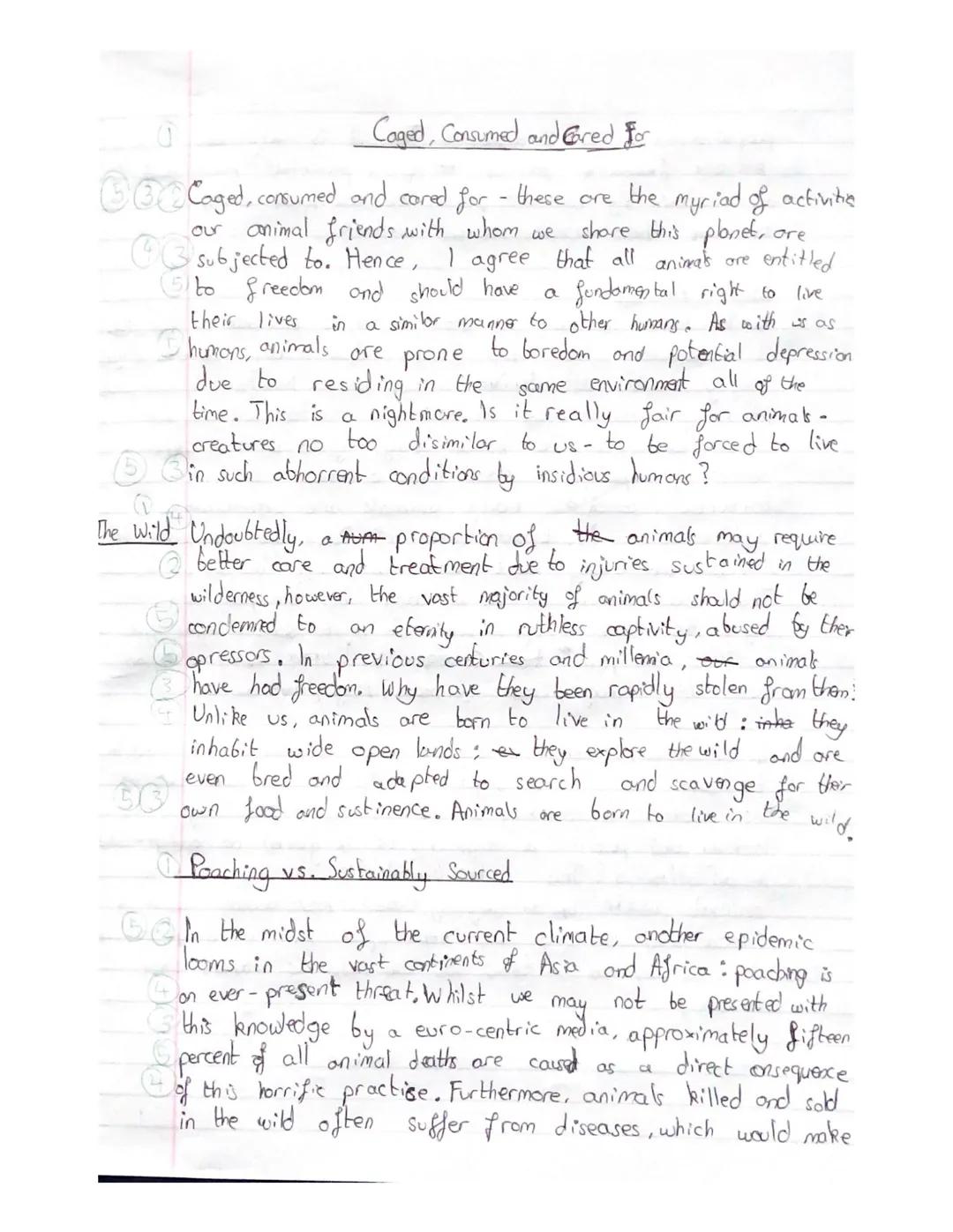 # Caged, Consumed and Gred for

Caged, consumed and cared for these are the myriad of activitie
our animal friends with whom we share this p