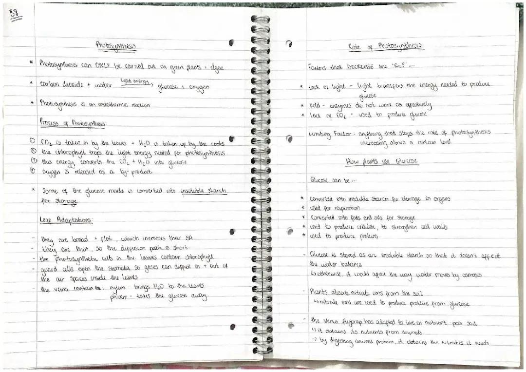 GCSE Biology Photosynthesis topic 8