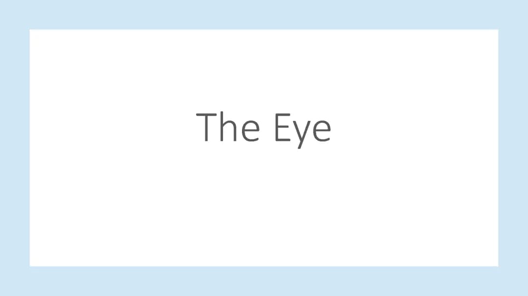 The Eye
