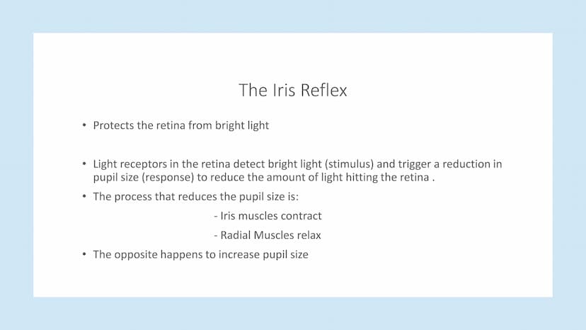 The Eye Parts of the Eye
Cornea - clear cover over the eye that refracts light
Iris - Contains muscles that control the pupil's size
Pupil -