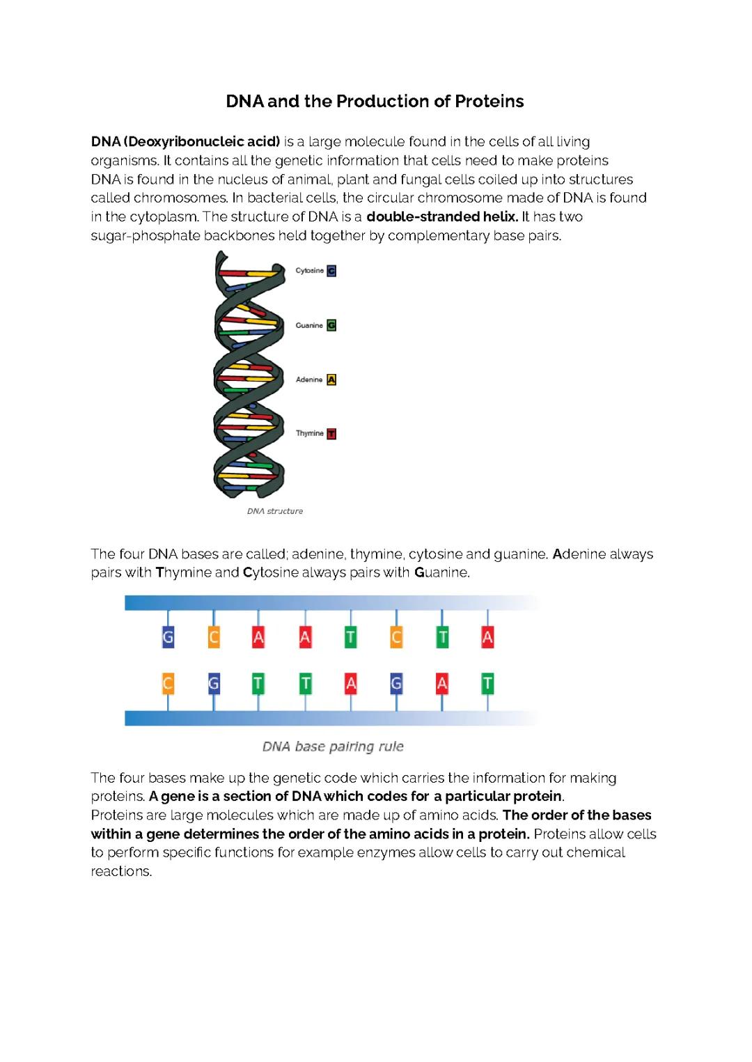 BIOLOGY 1.3 and 1.5 - DNA and the Production of Proteins & Genetic Engineering