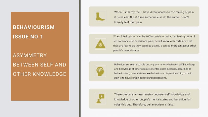 BEHAVIOURISM
Philosophy Revision Cards An Overview of
Behaviourism
Behaviourism is the idea that mental states -
such as pain, pleasure, sad