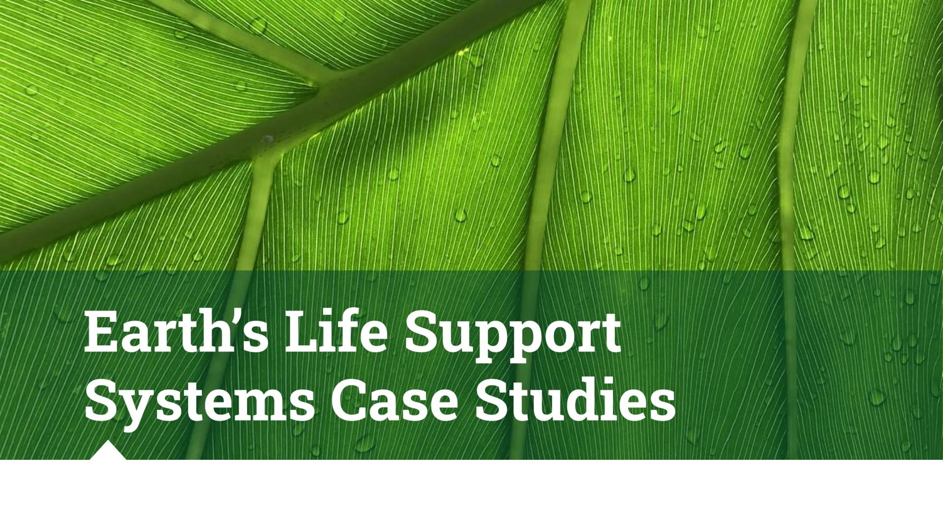 Earth's Life Support
Systems Case Studies The Amazon South america
6 million km^2
70% in Brazil
Rainforest
The rainforest water cycle
High a