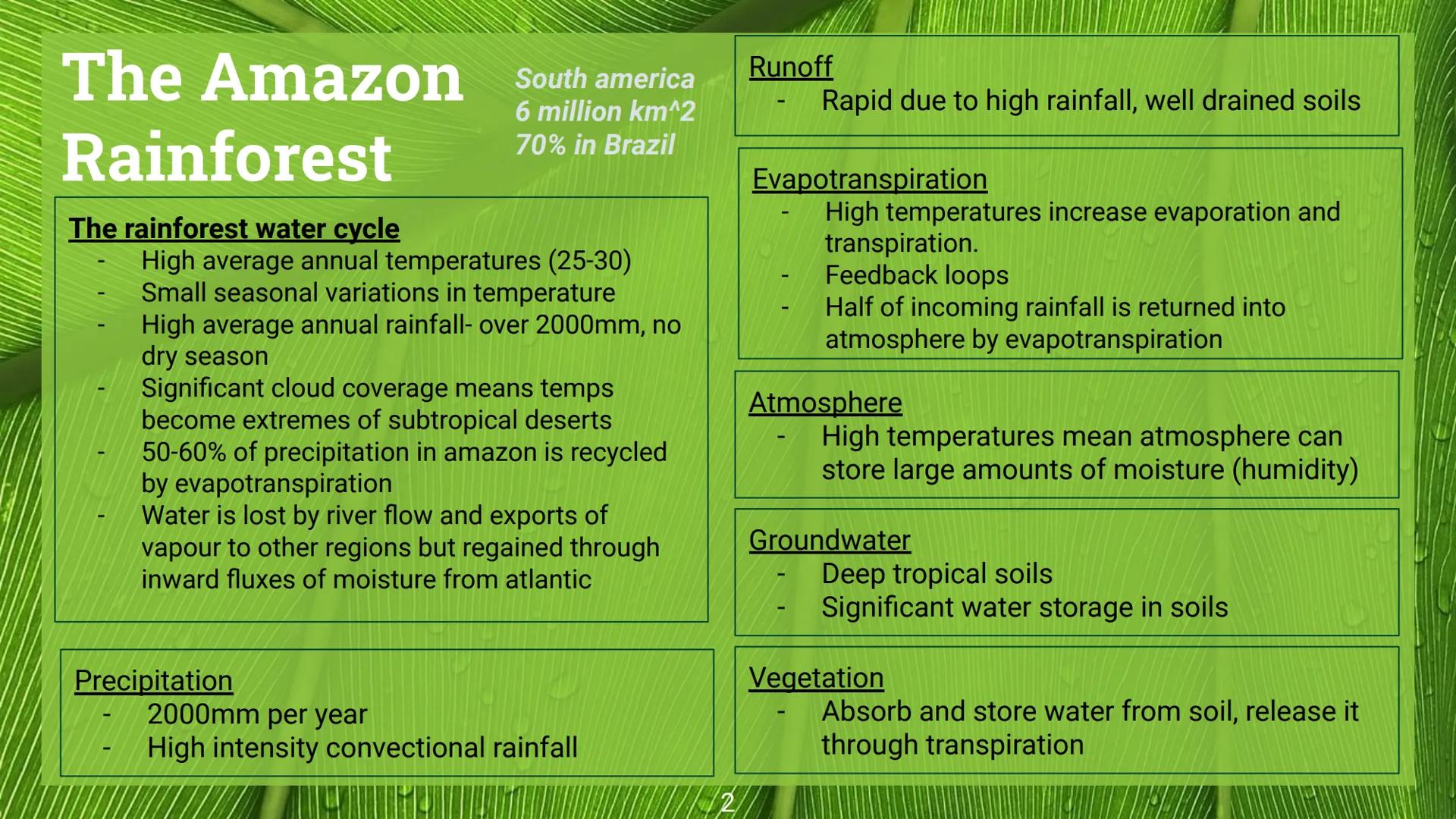Earth's Life Support
Systems Case Studies The Amazon South america
6 million km^2
70% in Brazil
Rainforest
The rainforest water cycle
High a