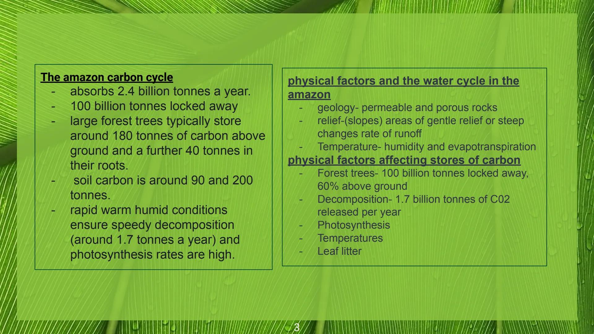 Earth's Life Support
Systems Case Studies The Amazon South america
6 million km^2
70% in Brazil
Rainforest
The rainforest water cycle
High a