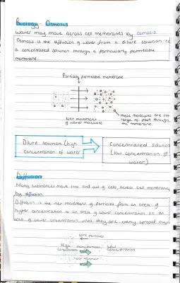 Know biology diffusion and osmosis  thumbnail