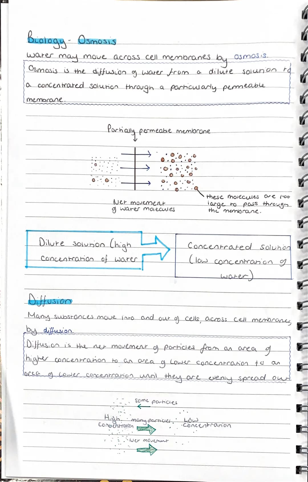 Bealogy - Osmosis
water may move across cell membranes. by
Osmosis is the diffusion of water from a dilute
a concentrated solution through a