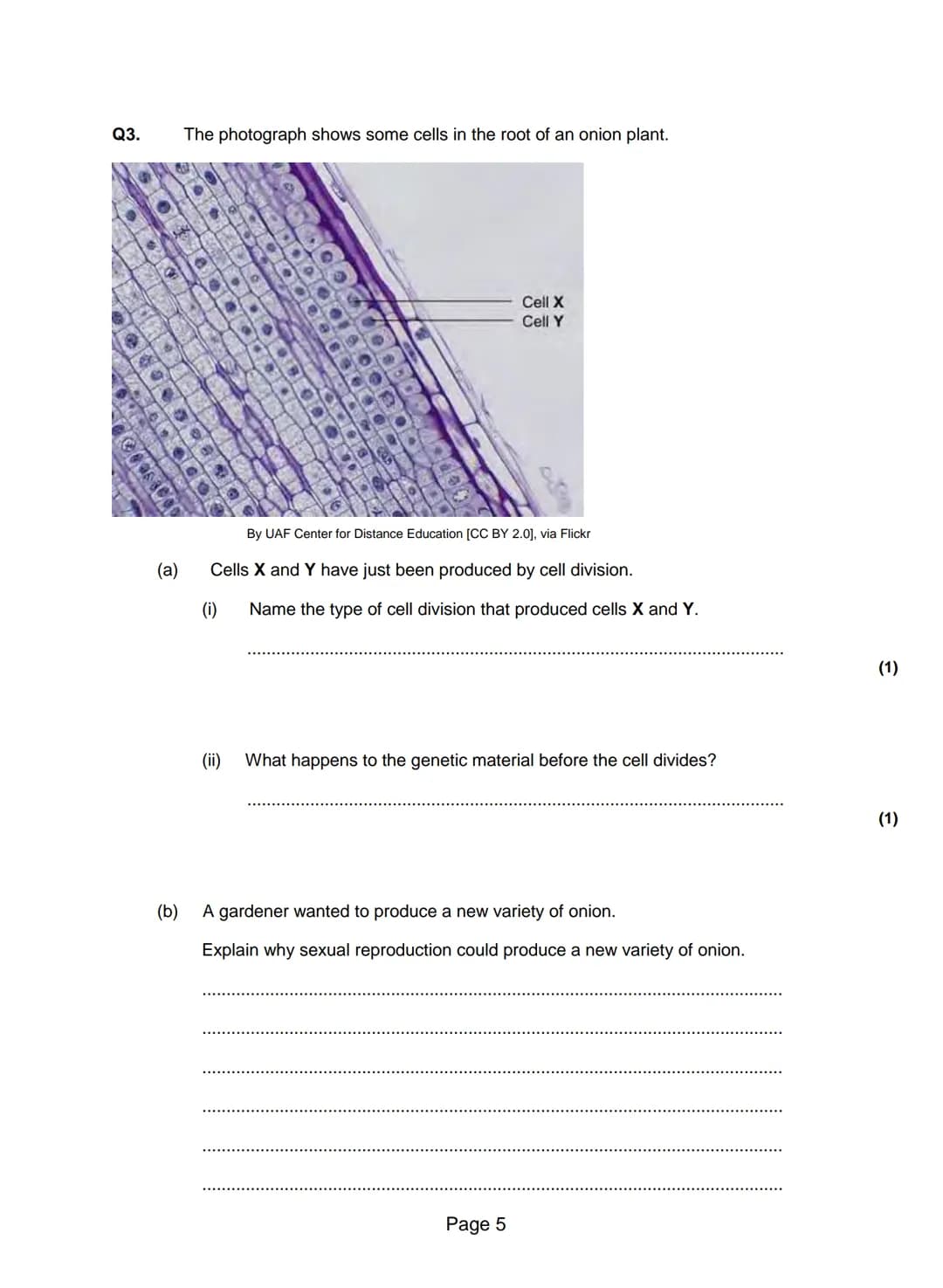 Q1.Figure 1 shows a human cheek cell viewed under a light microscope.
Figure 1
Ed Reschke/Photolibrary/Getty Images
(a) Label the nucleus an