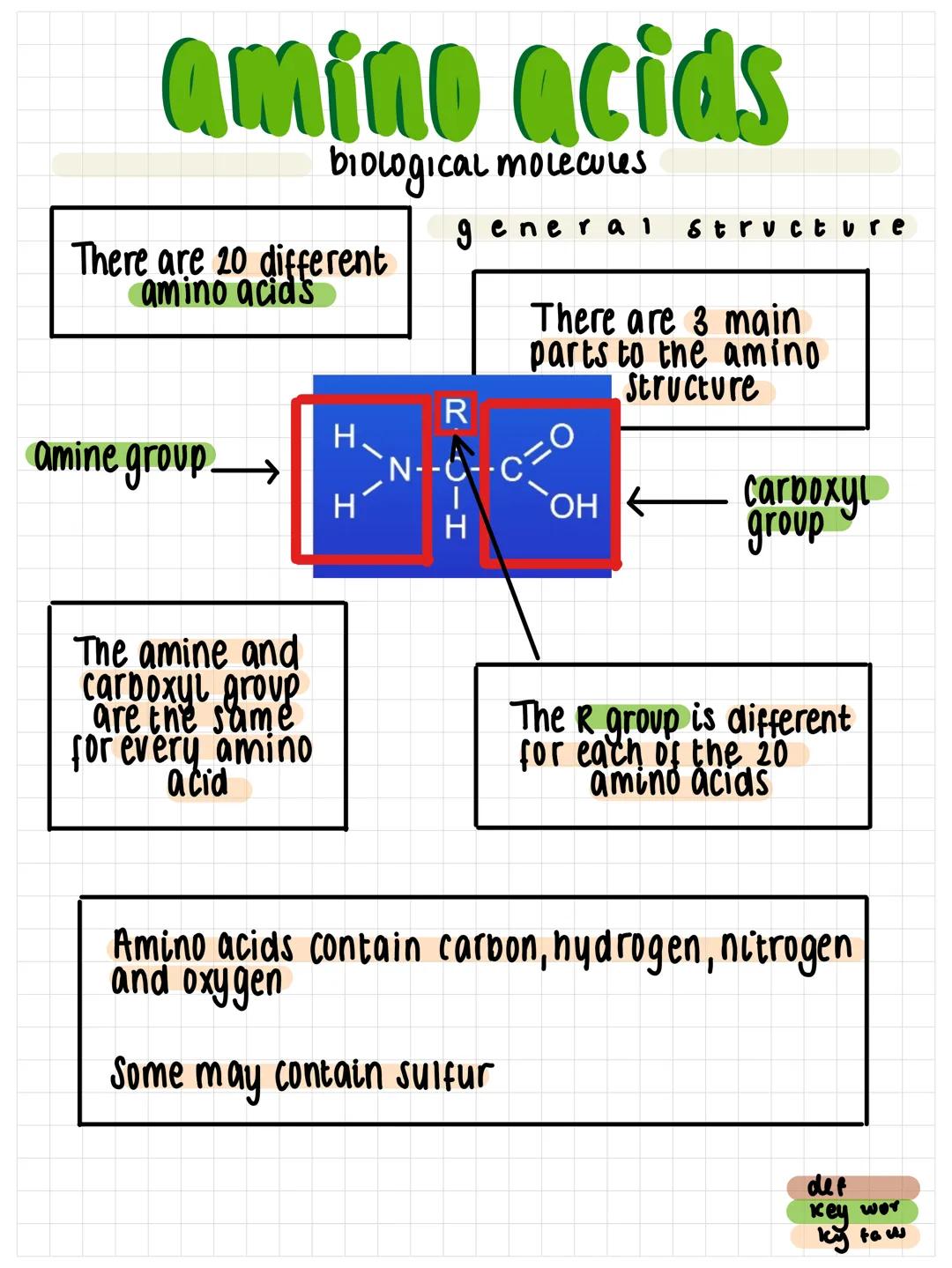 amino acids
biological molecules
There are 20 different
amino acids
amine group.
The amine and
carboxyl group
the
for every amino
acid
I
H.
