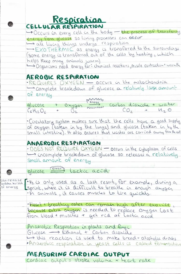 Know Respiration thumbnail
