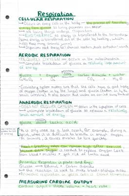 Know Respiration thumbnail