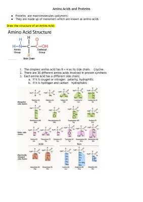 Know Amino Acids and Protiens thumbnail