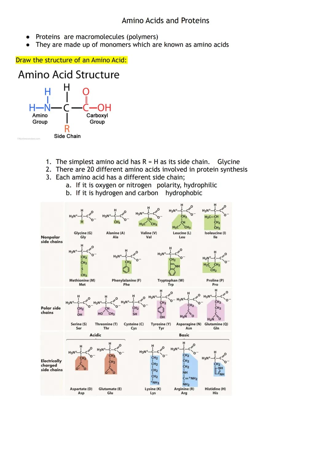 Proteins are macromolecules (polymers)
• They are made up of monomers which are known as amino acids
Draw the structure of an Amino Acid:
Am