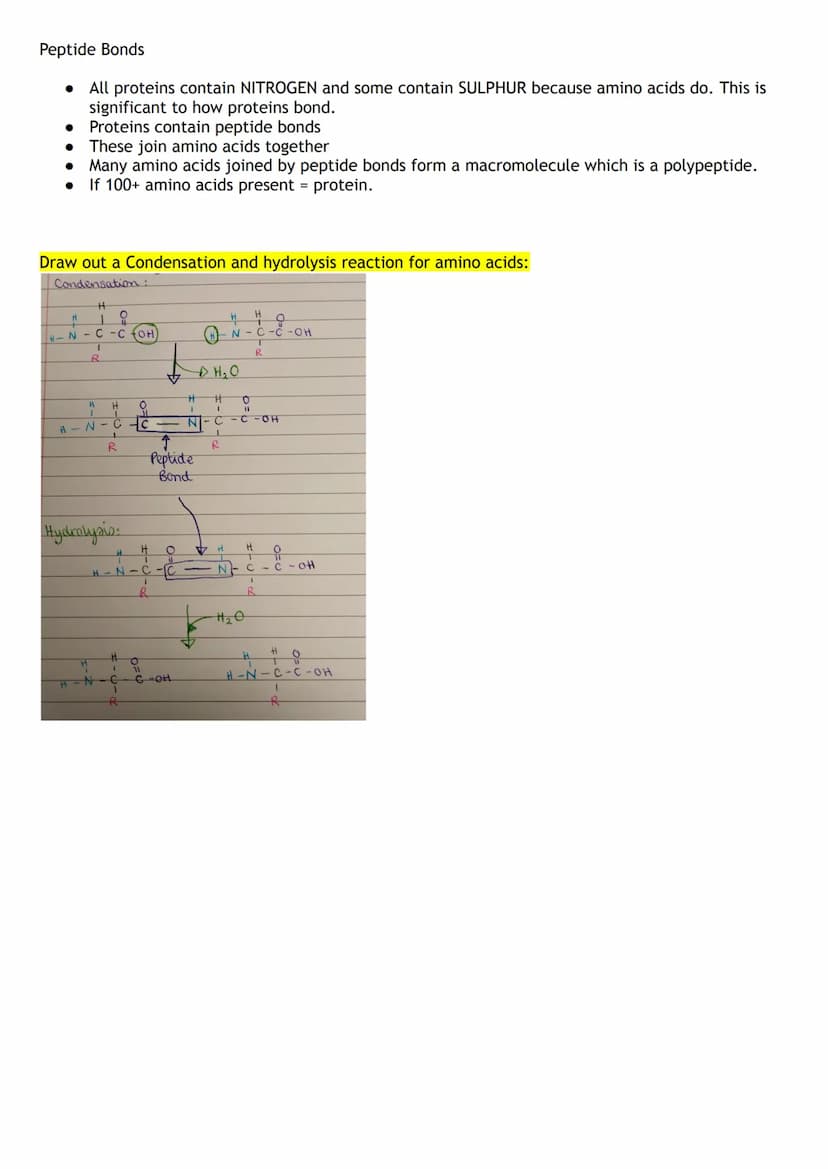 Proteins are macromolecules (polymers)
• They are made up of monomers which are known as amino acids
Draw the structure of an Amino Acid:
Am