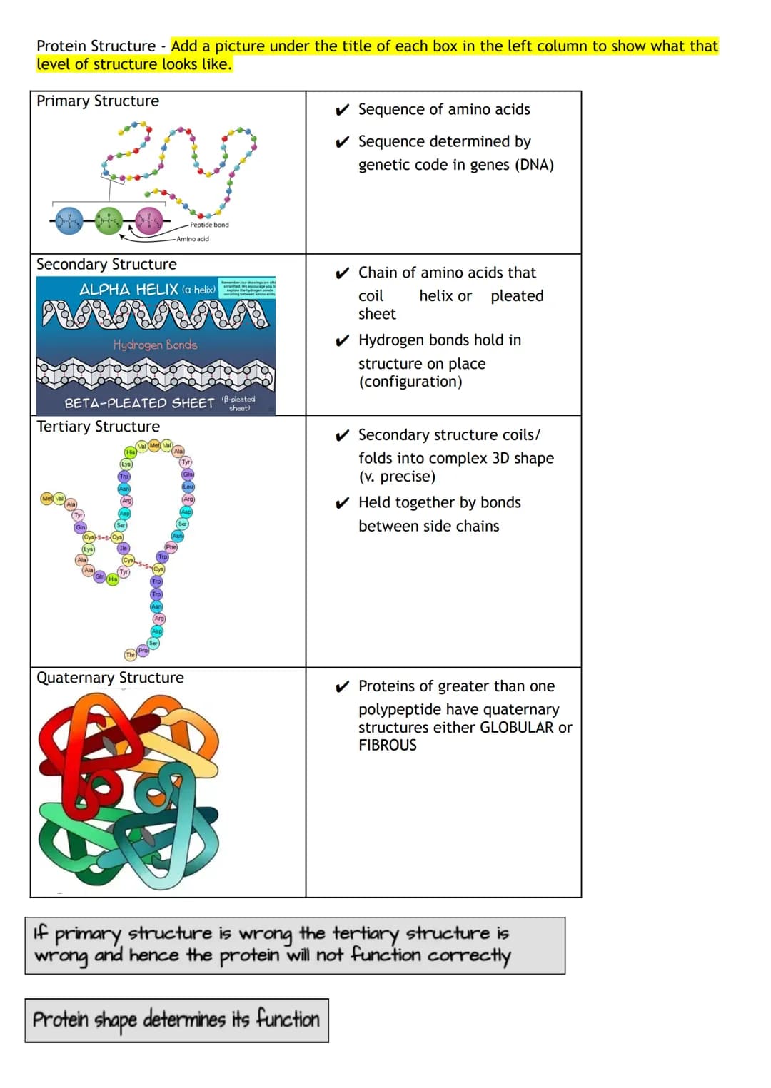 Proteins are macromolecules (polymers)
• They are made up of monomers which are known as amino acids
Draw the structure of an Amino Acid:
Am