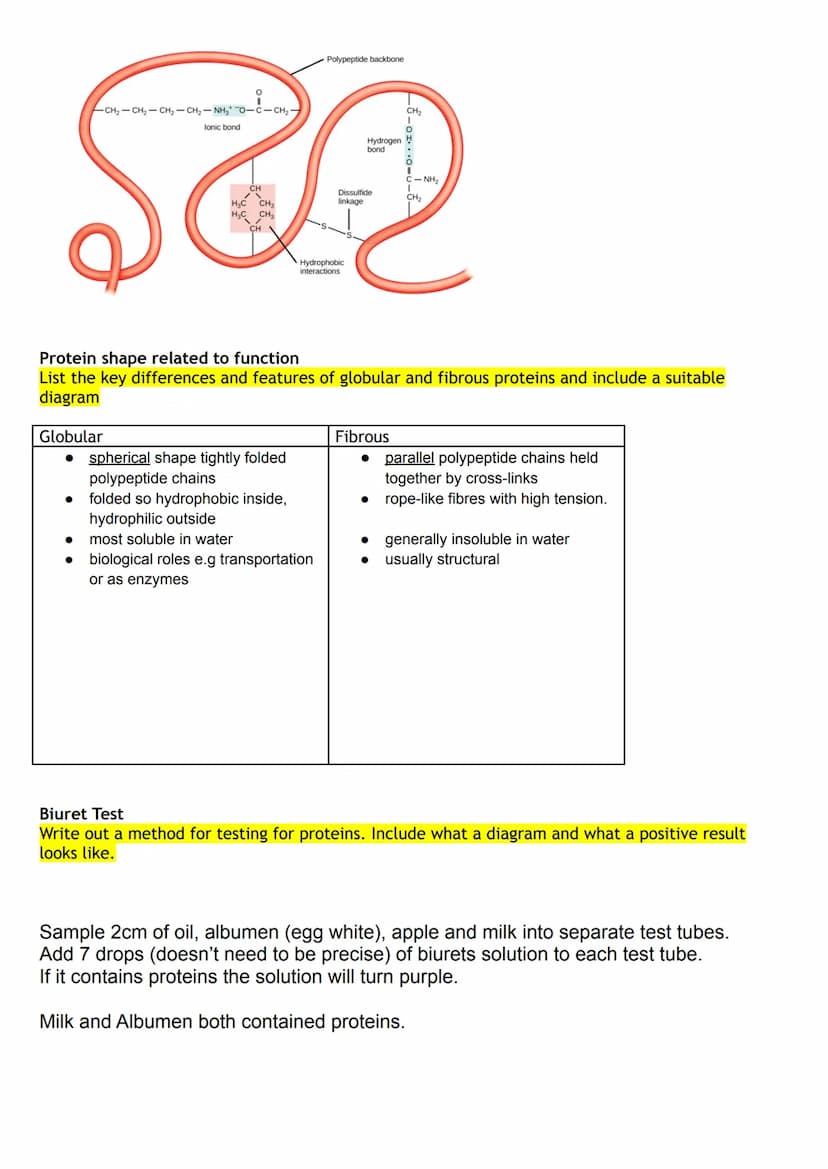 Proteins are macromolecules (polymers)
• They are made up of monomers which are known as amino acids
Draw the structure of an Amino Acid:
Am